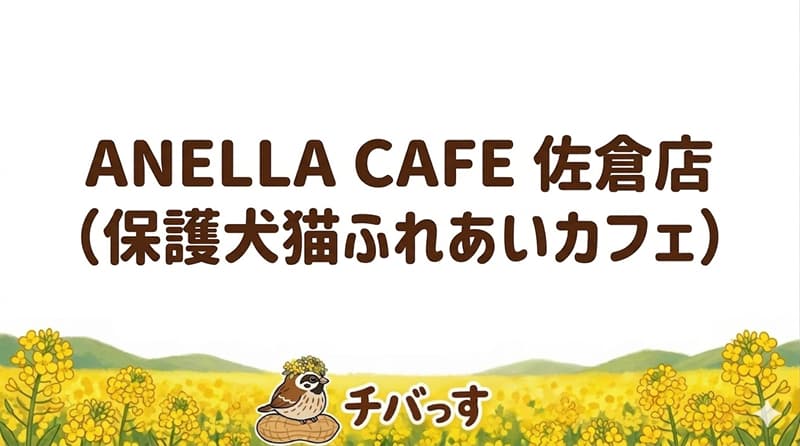 千葉県佐倉市の「ANELLA CAFE 佐倉店(保護犬猫ふれあいカフェ)」の口コミ評判をAI調査レビュー！佐倉市で癒しと社会貢献を体験