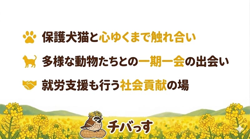 千葉県佐倉市「ANELLA CAFE 佐倉店(保護犬猫ふれあいカフェ)」の特徴をまとめた画像