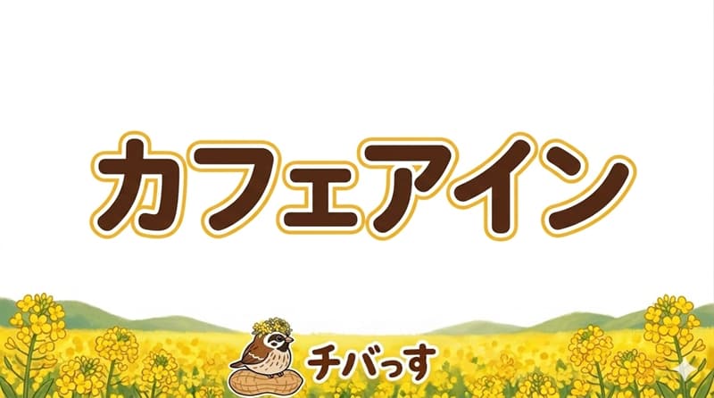 カフェアインの口コミ評判をAI調査！佐倉市で限られた時間で出会う癒しの空間のアイキャッチ画像
