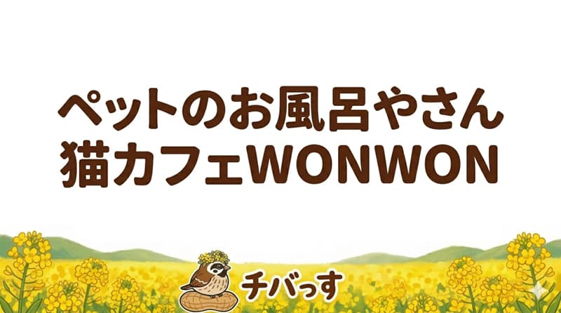 千葉県佐倉市の「ペットのお風呂やさん猫カフェWONWON」の口コミ評判をAI調査レビュー！佐倉市で看板犬と猫に癒される隠れ家のアイキャッチ画像