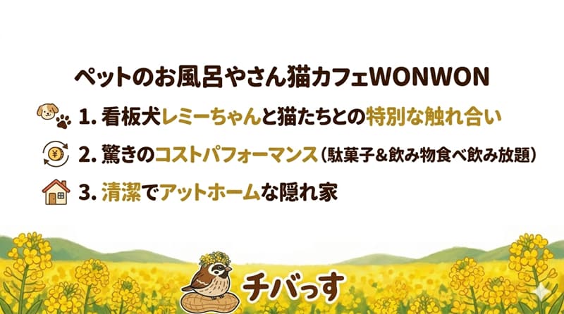 千葉県佐倉市の「ペットのお風呂やさん猫カフェWONWON」の特徴をまとめた画像
