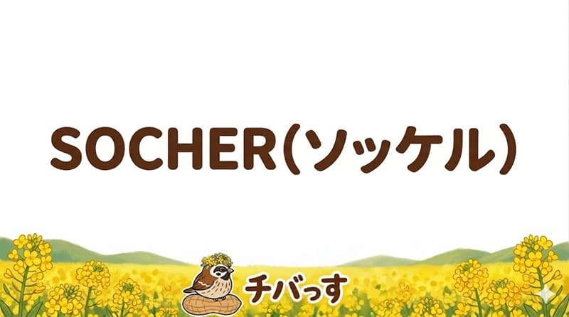 千葉県佐倉市の「SOCHER (ソッケル)」の口コミ評判をAI調査レビュー！佐倉市で絶品モチモチクレープと愛犬に優しい北欧カフェのアイキャッチ画像