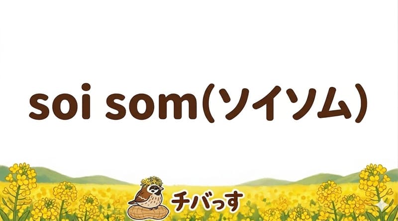 千葉県佐倉市の「soi som (ソイソム)」の口コミ評判をAI調査レビュー！佐倉市で本格タイ料理と癒しのカフェ空間のアイキャッチ画像