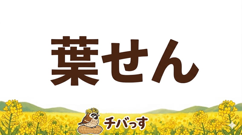 千葉県佐倉市のカフェ「葉せん（はせん）」の口コミ評判を調査レビュー！佐倉市でサイフォン珈琲とコスパ抜群のパンセットが楽しめるお店のアイキャッチ画像