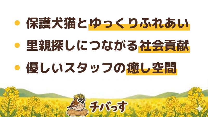 佐倉市 ANELLA CAFE 佐倉店の口コミ・評判からわかった3つの魅力（保護犬猫とゆっくりふれあい／里親探しにつながる社会貢献／優しいスタッフの癒し空間）をまとめた画像