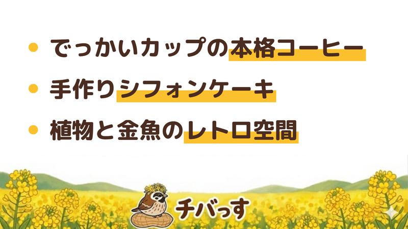 佐倉市 カフェアインの口コミ・評判からわかった3つの魅力（でっかいカップの本格コーヒー／手作りシフォンケーキ／植物と金魚のレトロ空間）をまとめた画像