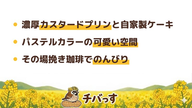 佐倉市 カフェ キャトルの口コミ・評判からわかった3つの魅力（濃厚カスタードプリンと自家製ケーキ／パステルカラーの可愛い空間／その場挽き珈琲でのんびり）をまとめた画像