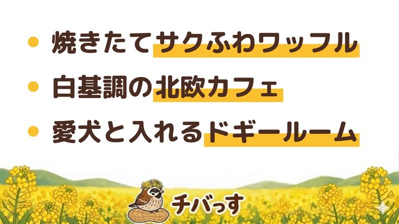 佐倉市 Cafe Sucre（カフェシュクル）の口コミ・評判からわかった3つの魅力（焼きたてサクふわワッフル／白基調の北欧カフェ空間／愛犬と入れるドギールーム）をまとめた画像