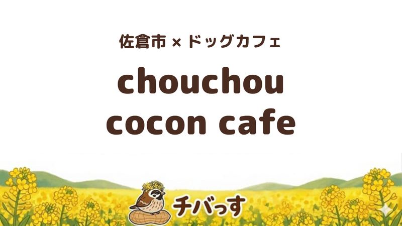 佐倉市西志津のカフェ「chouchou cocon cafe」の口コミ・評判記事のアイキャッチ。愛犬と過ごせる白基調のドッグカフェです。