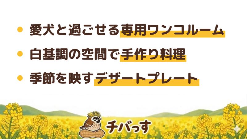 佐倉市 chouchou cocon cafeの口コミ・評判からわかった3つの魅力（愛犬と過ごせる専用ワンコルーム／白基調の空間で手作り料理／季節を映すデザートプレート）をまとめた画像
