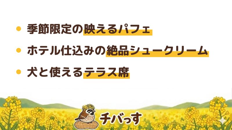 佐倉市 白雪小町の口コミ・評判からわかった3つの魅力（季節限定の映えるパフェ／ホテル仕込みの絶品シュークリーム／犬と使えるテラス席）をまとめた画像