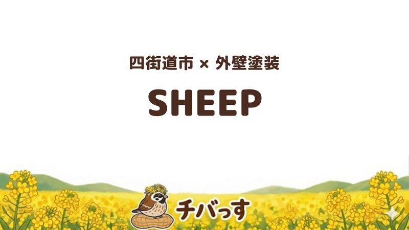 四街道市の外壁塗装会社「SHEEP」の口コミ・評判を紹介する記事のアイキャッチ画像。「四街道市×外壁塗装 SHEEP」と記載。