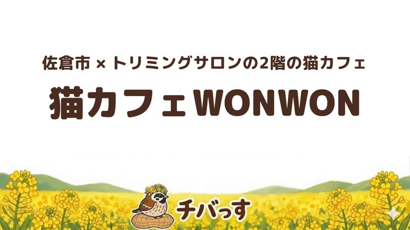 佐倉市王子台の「猫カフェWONWON」の口コミ・評判記事のアイキャッチ。トリミングサロンの2階にある猫カフェ