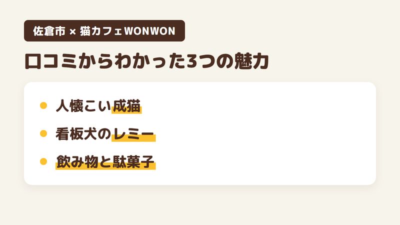 佐倉市王子台の「猫カフェWONWON」の口コミからわかった3つの魅力(人懐こい成猫たち/不定期で出てくる看板犬/飲み物と駄菓子が自由)をまとめた画像