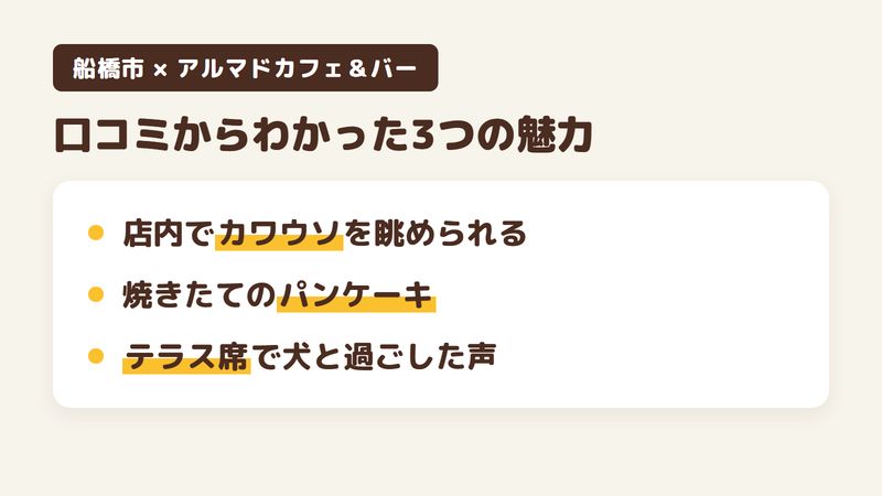 船橋市東船橋のカフェ「アルマドカフェ＆バー」の口コミからわかった3つの魅力（店内でカワウソを眺められる／焼きたてのカワウソパンケーキ／テラス席で犬と過ごした声）をまとめた画像