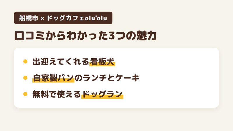 船橋市丸山のドッグカフェ「ドッグカフェolu'olu」の口コミと公式サイトからわかった3つの魅力（出迎えてくれる看板犬のレトリバー／自家製パンのランチと日替わりケーキ／カフェの利用で使えるドッグラン）をまとめた画像